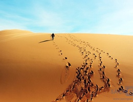 Phân tích hình ảnh bãi cát và người đi trên bãi cát trong Sa hành đoản ca của Cao Bá Quát