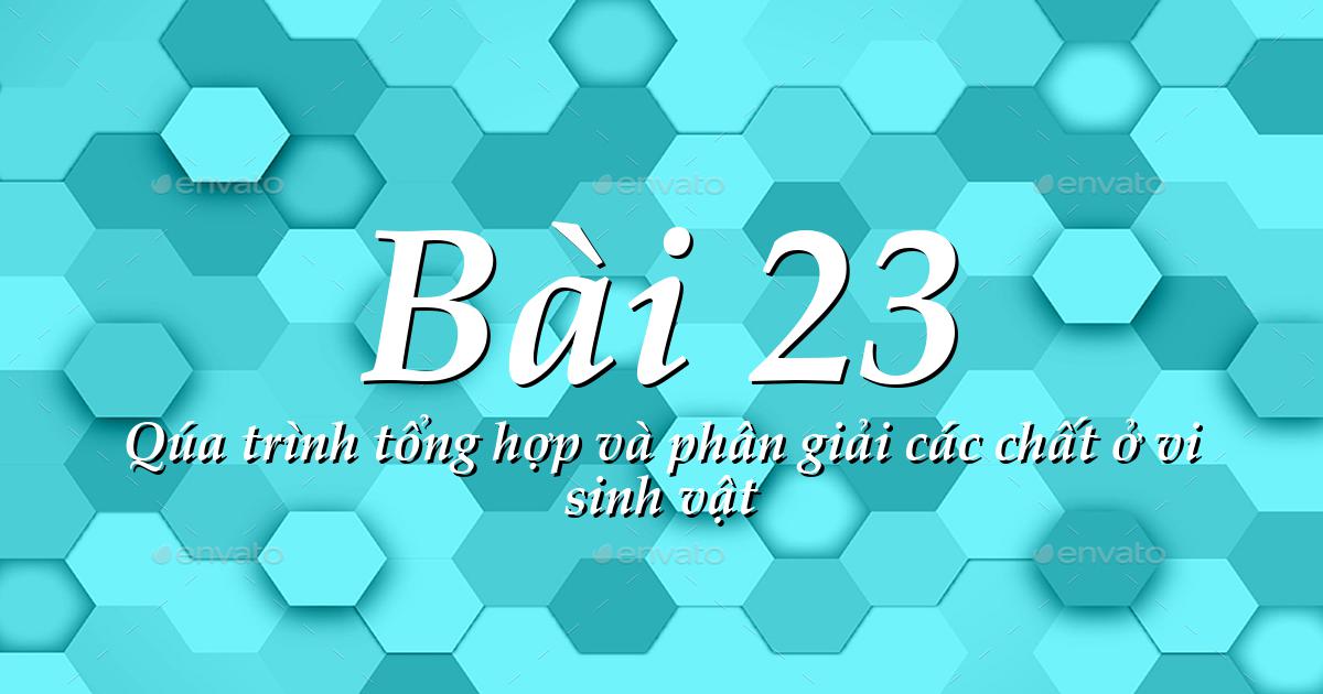 Bài 1 trang 94 SGK Sinh học 10. Vi khuẩn lam tổng hợp ... ( https://baitap.me › bai-1-trang-94-sg... ) 